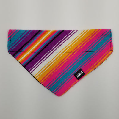 MEDIUM PASTEL SARAPE DOG BANDANA. 179