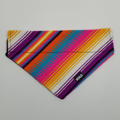 MEDIUM PASTEL SARAPE DOG BANDANA 184