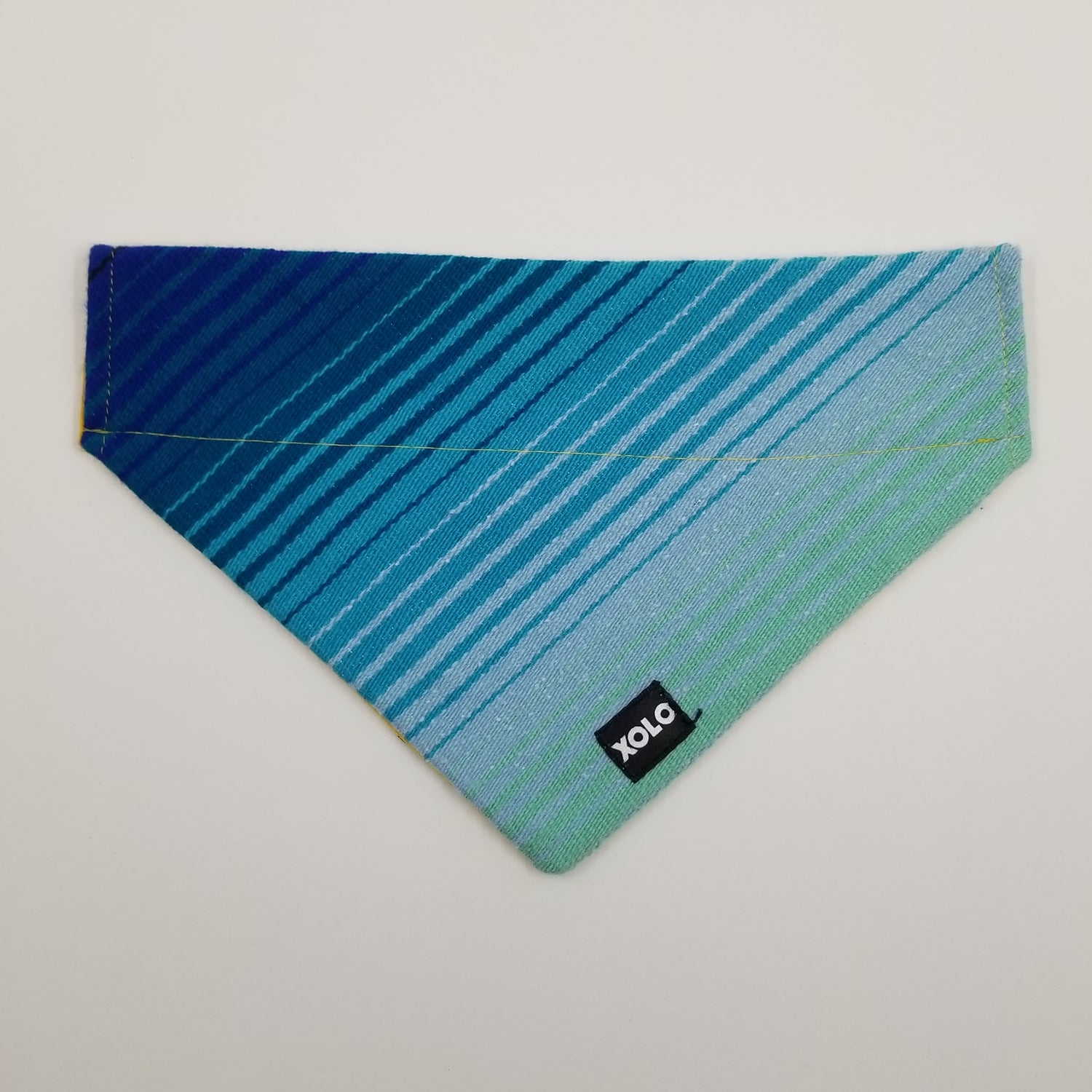 B197 MEDIUM SARAPE DOG BANDANA RETRO