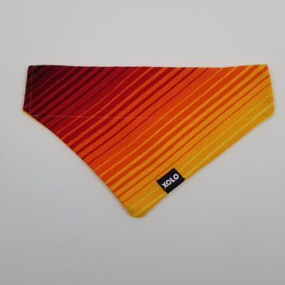 MEDIUM RETRO SARAPE DOG BANDANA 198