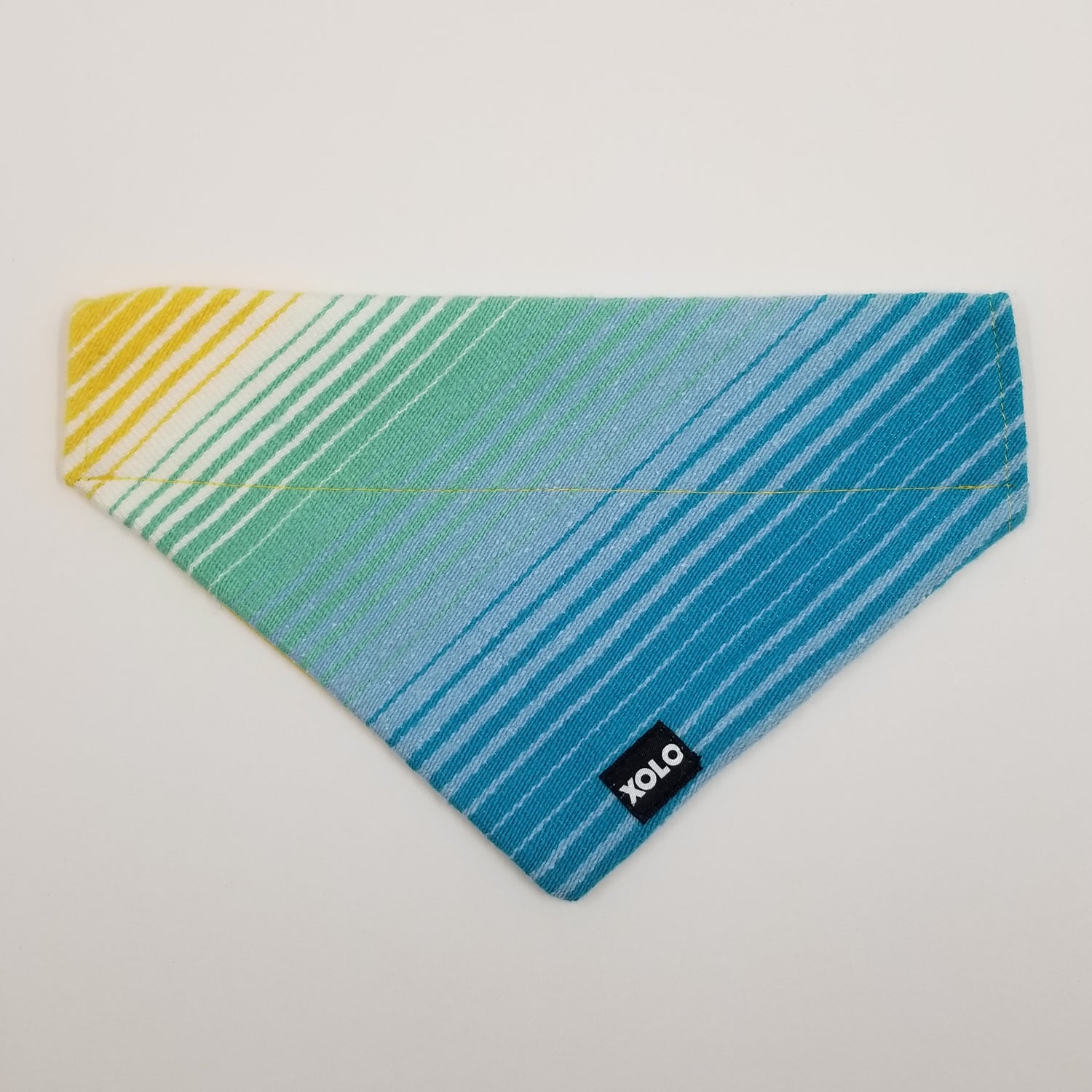 B202 MEDIUM SARAPE DOG BANDANA RETRO