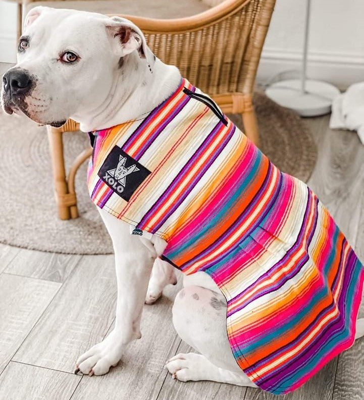 PASTEL SARAPE DOG DRESS
