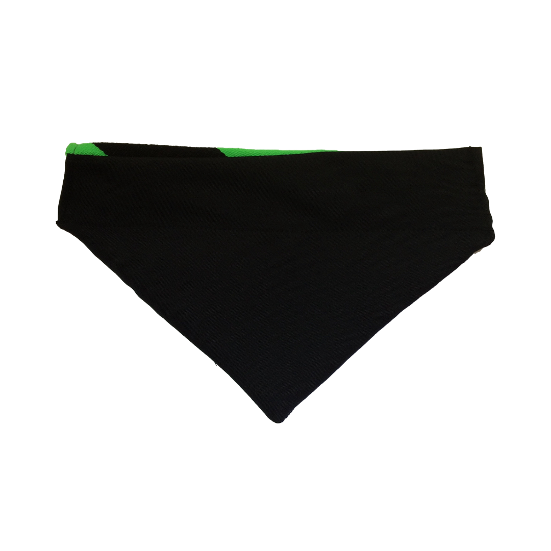 XOLO SARAPE DOG BANDANA