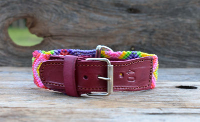 SMALL DOG COLLAR FROM CHIAPAS. MODEL 152