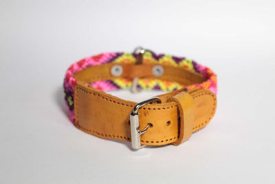 SMALL DOG COLLAR FROM CHIAPAS. MODEL 3893