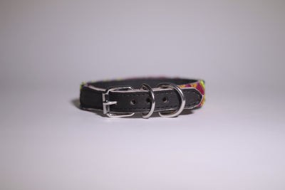 SMALL DOG COLLAR FROM CHIAPAS. MODEL 6085
