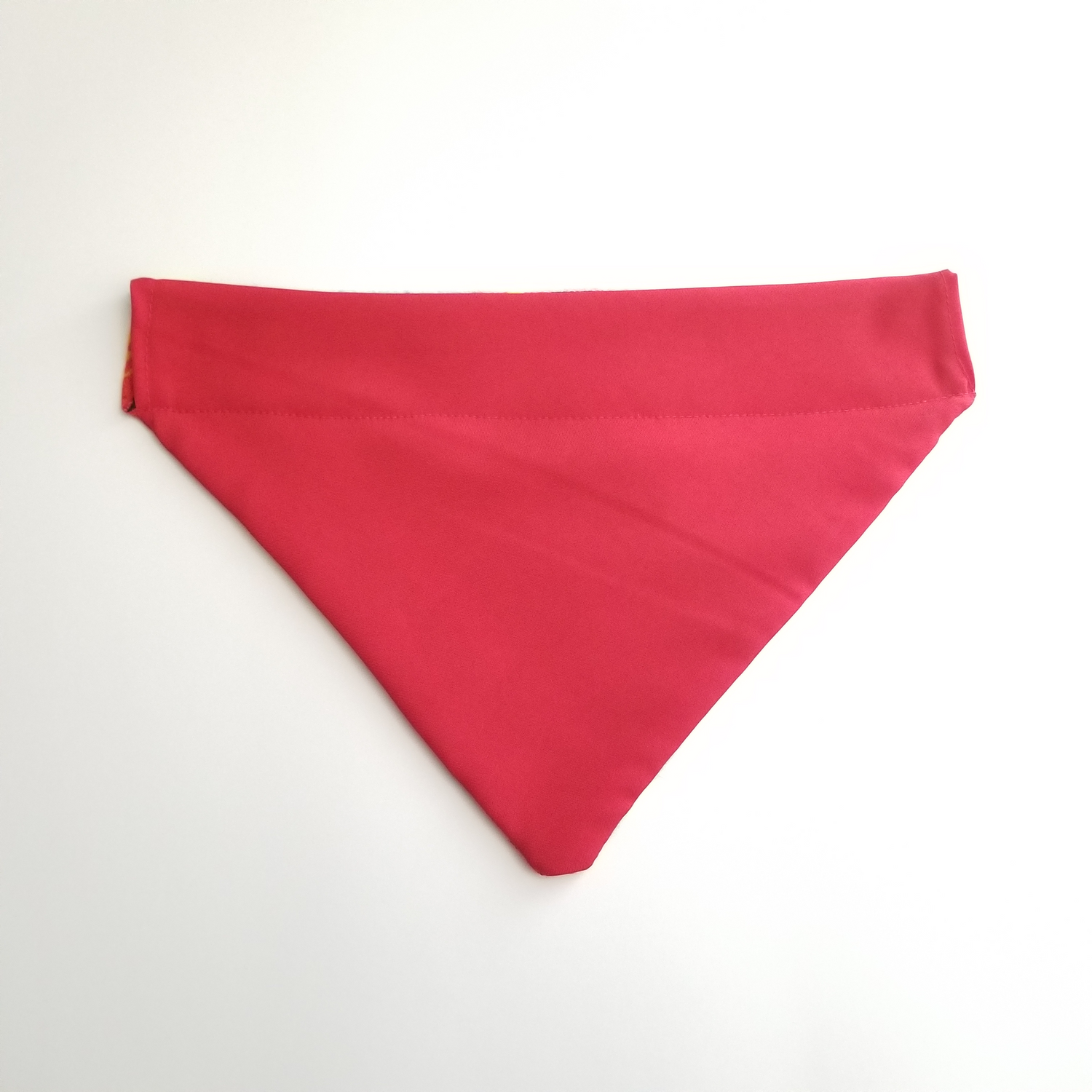 B04 EXTRA LARGE DOG SARAPE BANDANA ARCOIRIS